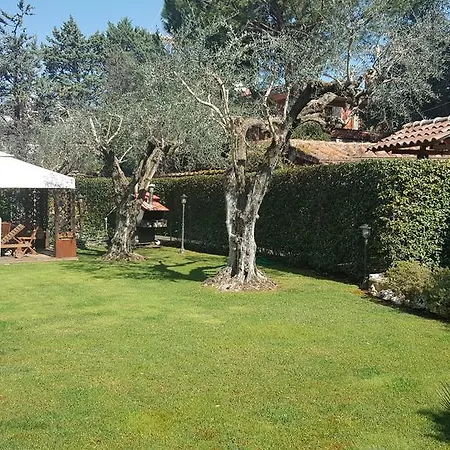 Aurelia Garden Gold 4* Roma