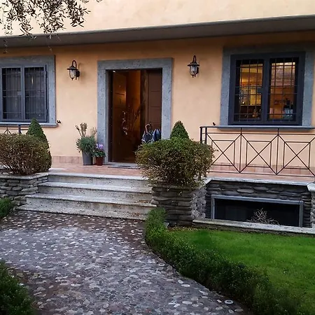 Aurelia Garden Gold Roma