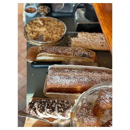 Aurelia Garden Gold Frühstückspension