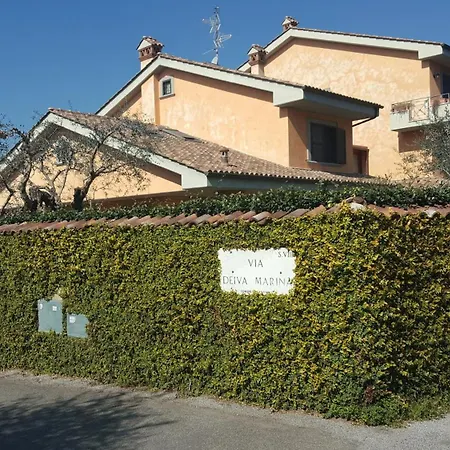 Aurelia Garden Gold Rom